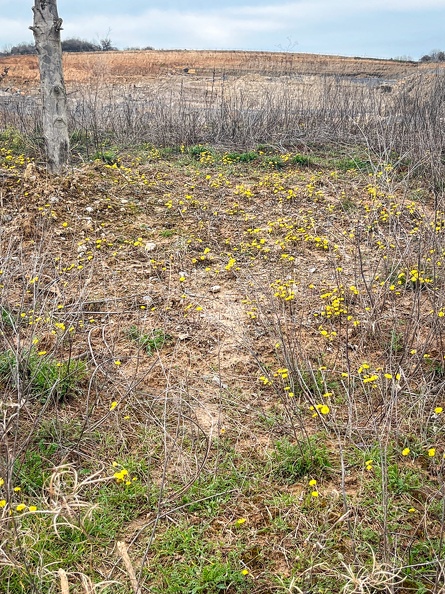 23-03-17 13-40-17 4909.jpeg